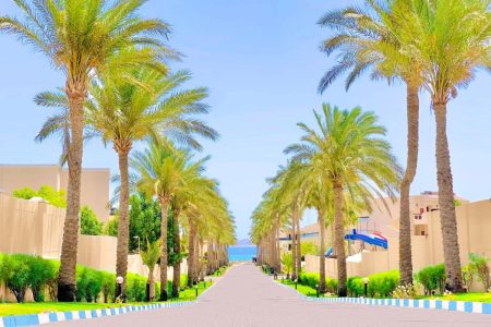 Ivy Cyrene  Resort – 8 Giorni/7 Notti
